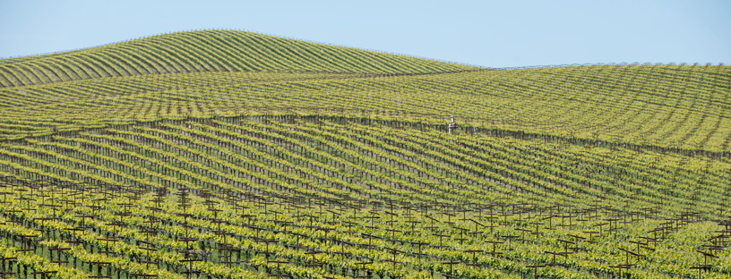 Sonoma