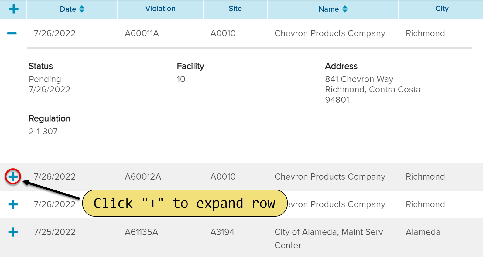 Click plus sign (+) to expand row