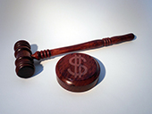 gavel and plate with dollar sign