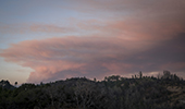 Wildfire sky in Bay Area